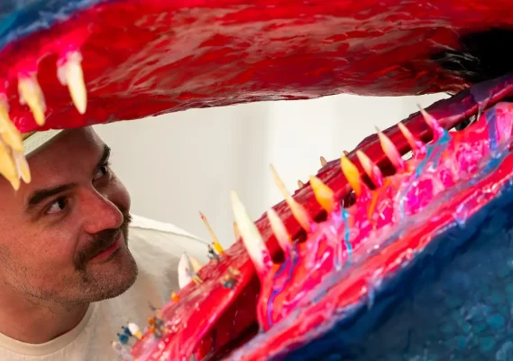 cba-web-800x1000_experience